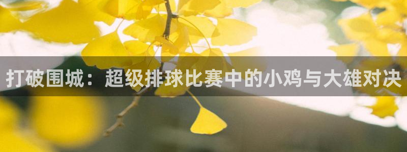 打破围城：超级排球比赛中的小鸡与大雄对决