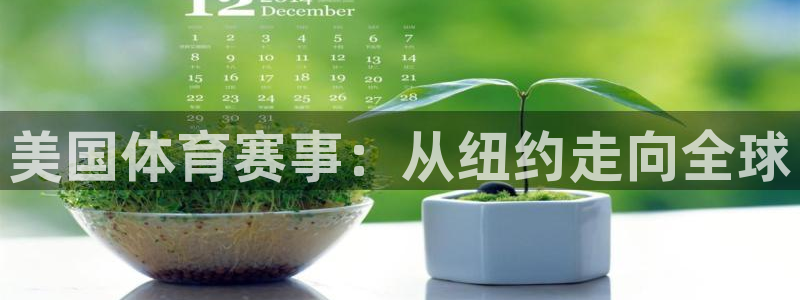 美国体育赛事：从纽约走向全球