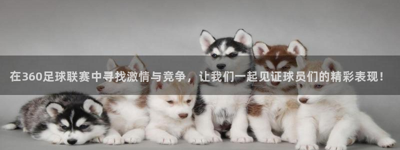 在360足球联赛中寻找激情与竞争，让我们一起见证球员们的精彩表现！