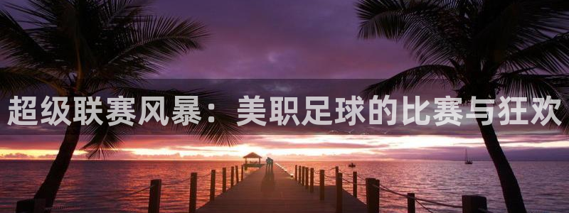 超级联赛风暴：美职足球的比赛与狂欢
