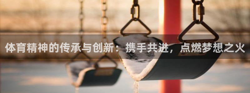 体育精神的传承与创新：携手共进，点燃梦想之火