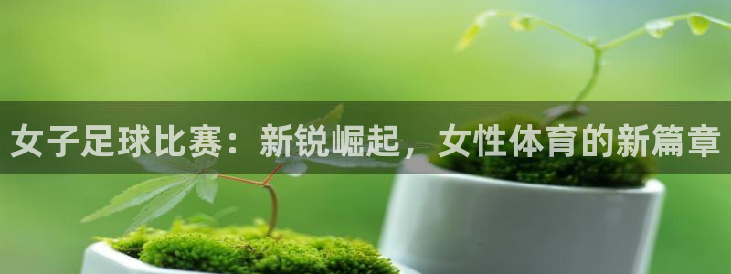 女子足球比赛：新锐崛起，女性体育的新篇章