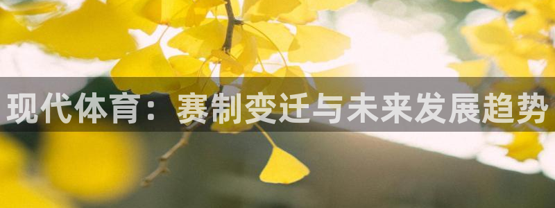 现代体育：赛制变迁与未来发展趋势