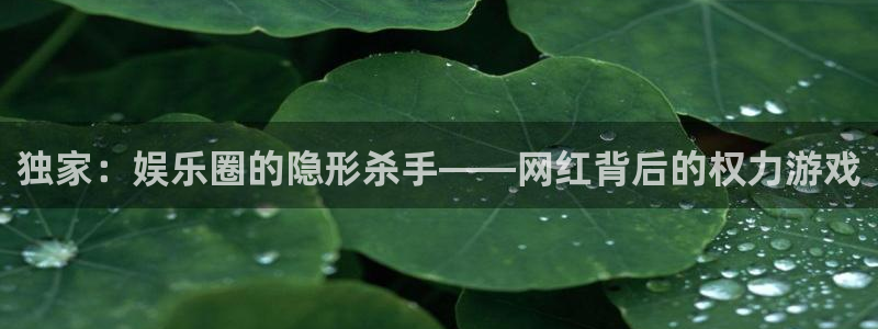 独家：娱乐圈的隐形杀手——网红背后的权力游戏
