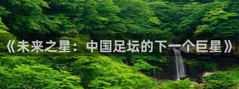 《未来之星：中国足坛的下一个巨星》