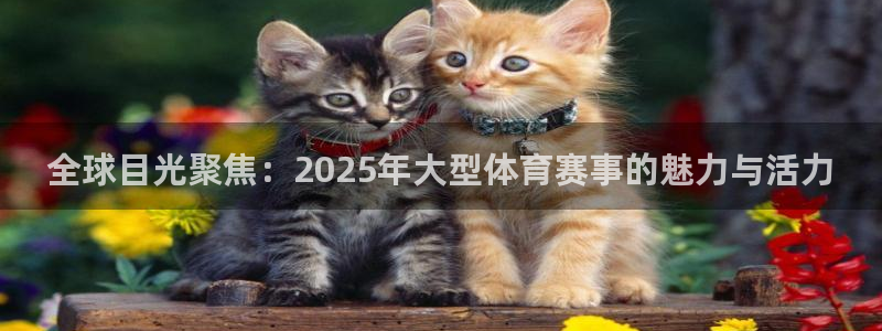 全球目光聚焦：2025年大型体育赛事的魅力与活力