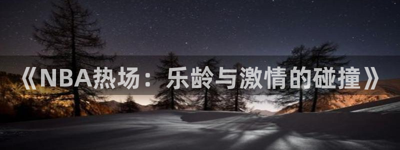 《NBA热场：乐龄与激情的碰撞》