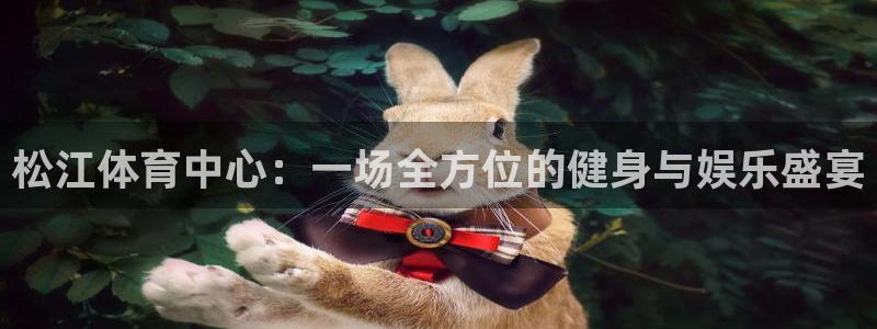 松江体育中心：一场全方位的健身与娱乐盛宴
