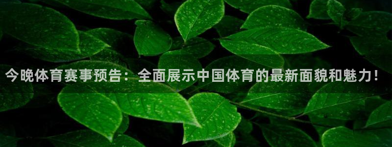 今晚体育赛事预告：全面展示中国体育的最新面貌和魅力！