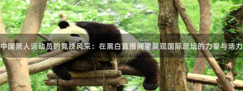 中国黑人运动员的竞技风采：在黑白直播间里展现国际足坛的力量与活力