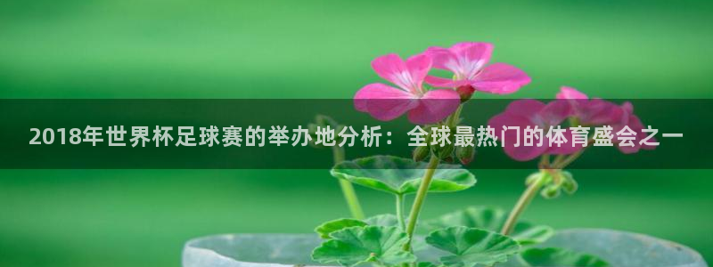 2018年世界杯足球赛的举办地分析：全球最热门的体育盛会之一