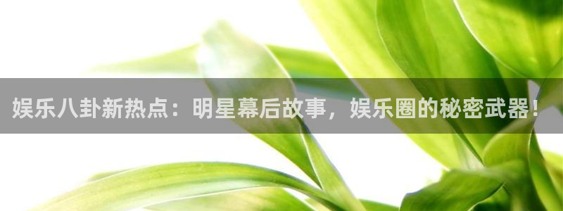 娱乐八卦新热点：明星幕后故事，娱乐圈的秘密武器！