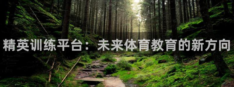 精英训练平台：未来体育教育的新方向
