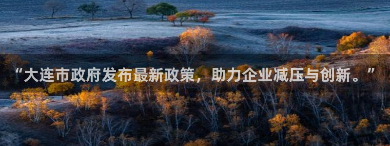 “大连市政府发布最新政策，助力企业减压与创新。”