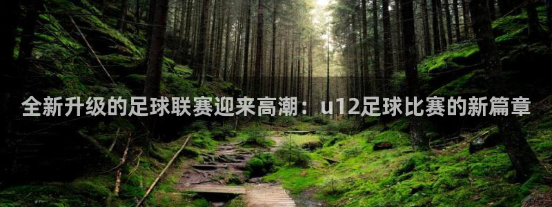 全新升级的足球联赛迎来高潮：u12足球比赛的新篇章
