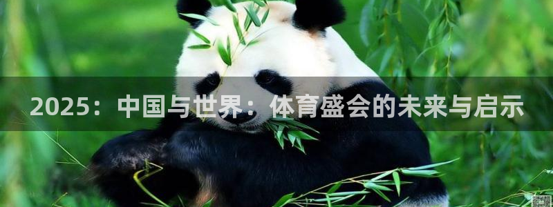 2025：中国与世界：体育盛会的未来与启示